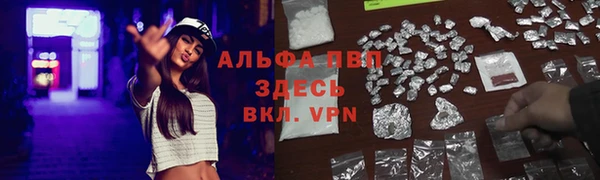 прущие крисы Чердынь