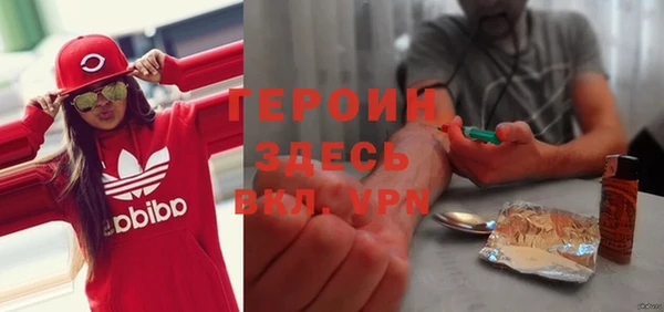 молекула духа Вяземский