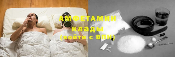 молекула духа Вяземский