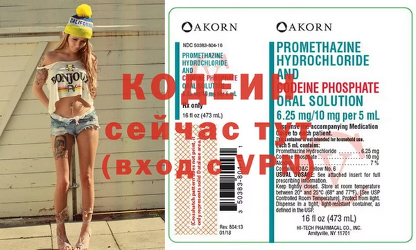 молекула духа Вяземский