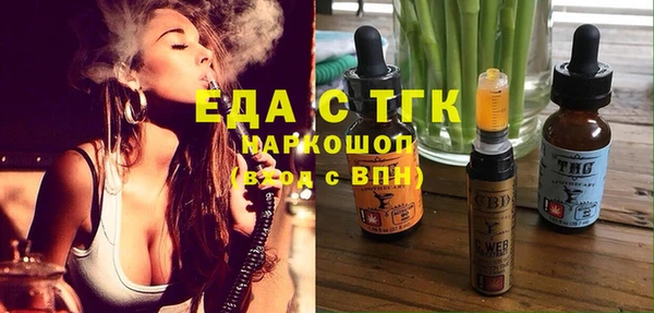 молекула духа Вяземский