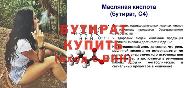 молекула духа Вяземский