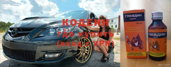 молекула духа Вяземский