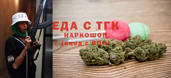 молекула духа Вяземский