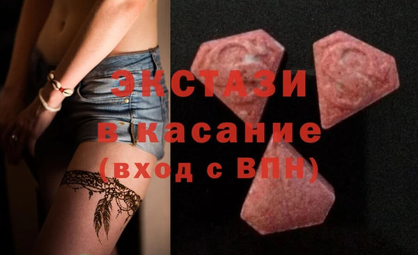 молекула духа Вяземский