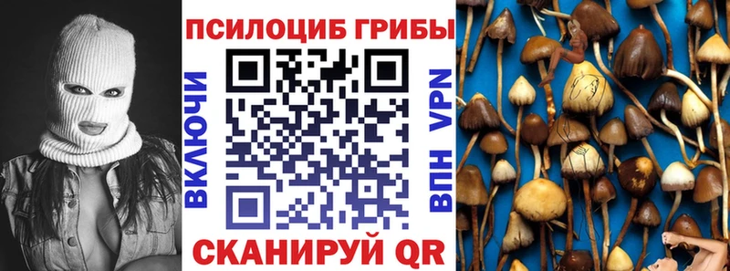 Псилоцибиновые грибы MAGIC MUSHROOMS Михайлов