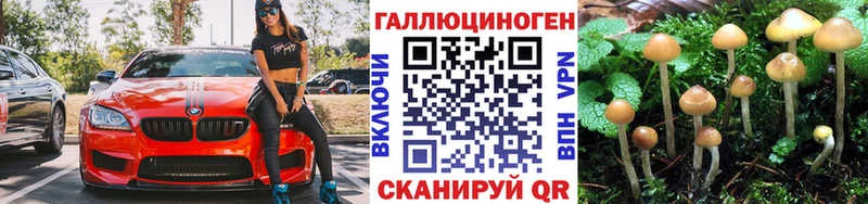 Галлюциногенные грибы Psilocybine cubensis  Михайлов 